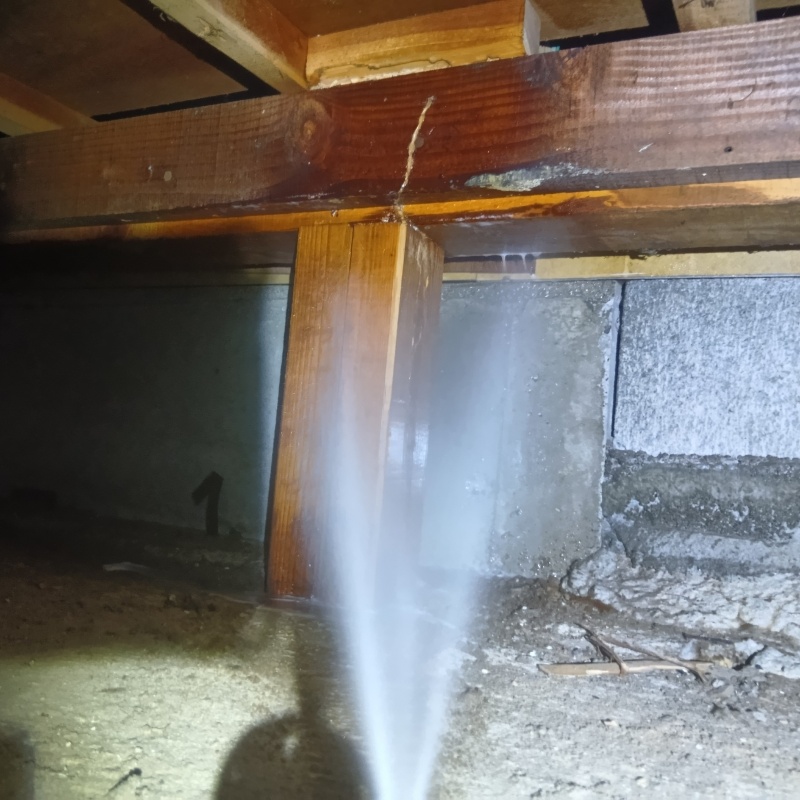 床下の木部にシロアリ駆除剤を散布