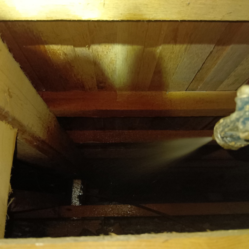 床下の木部にシロアリ駆除剤を散布