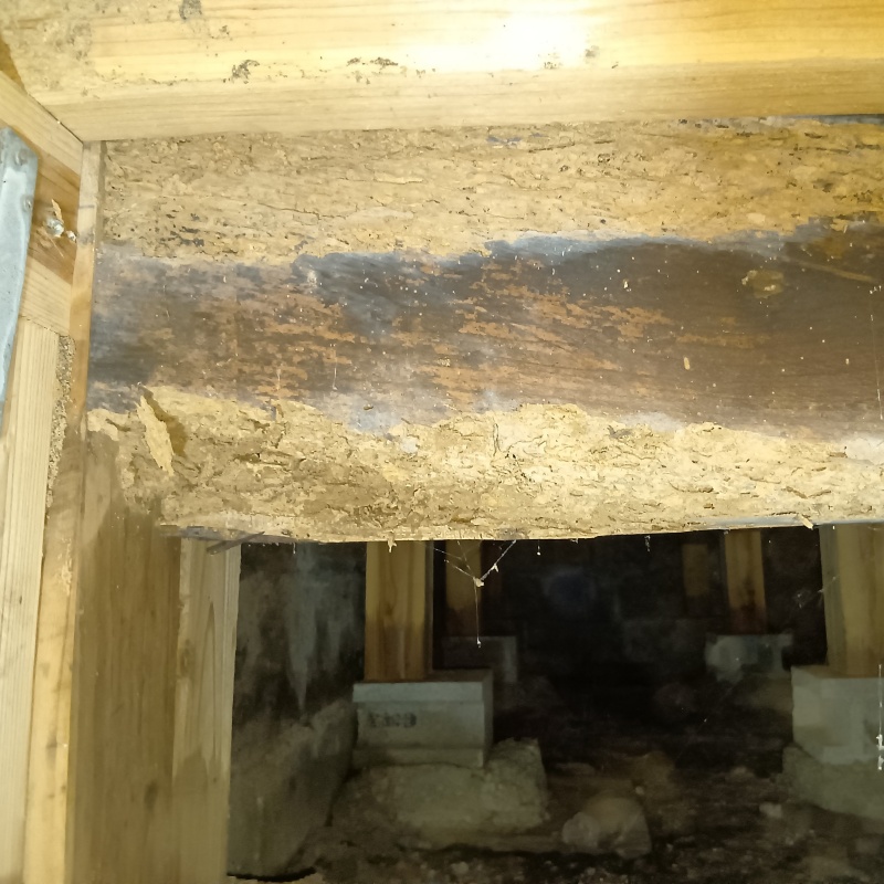 シロアリ駆除の施工事例（宮崎県児湯郡川南町大字川南）