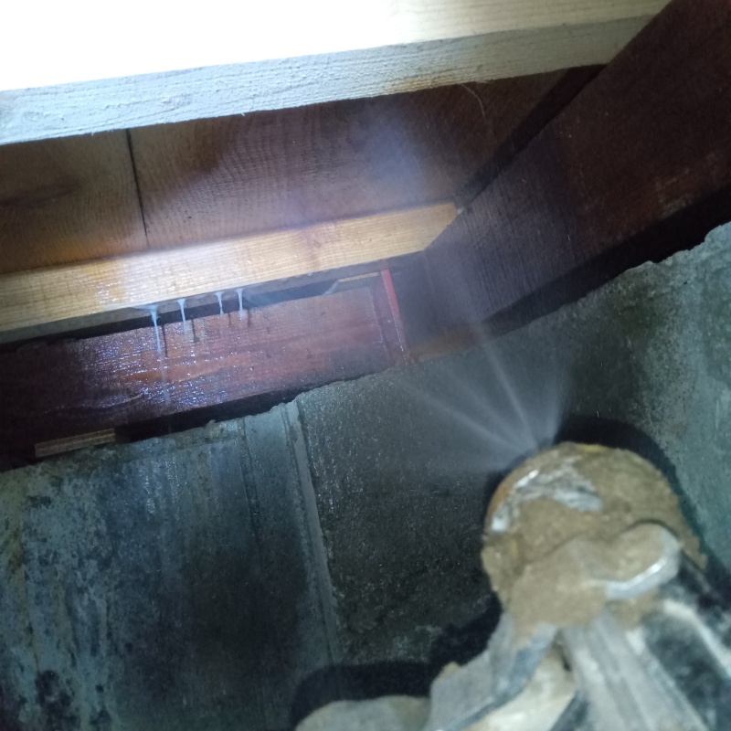 床下の木部にシロアリ駆除剤を散布