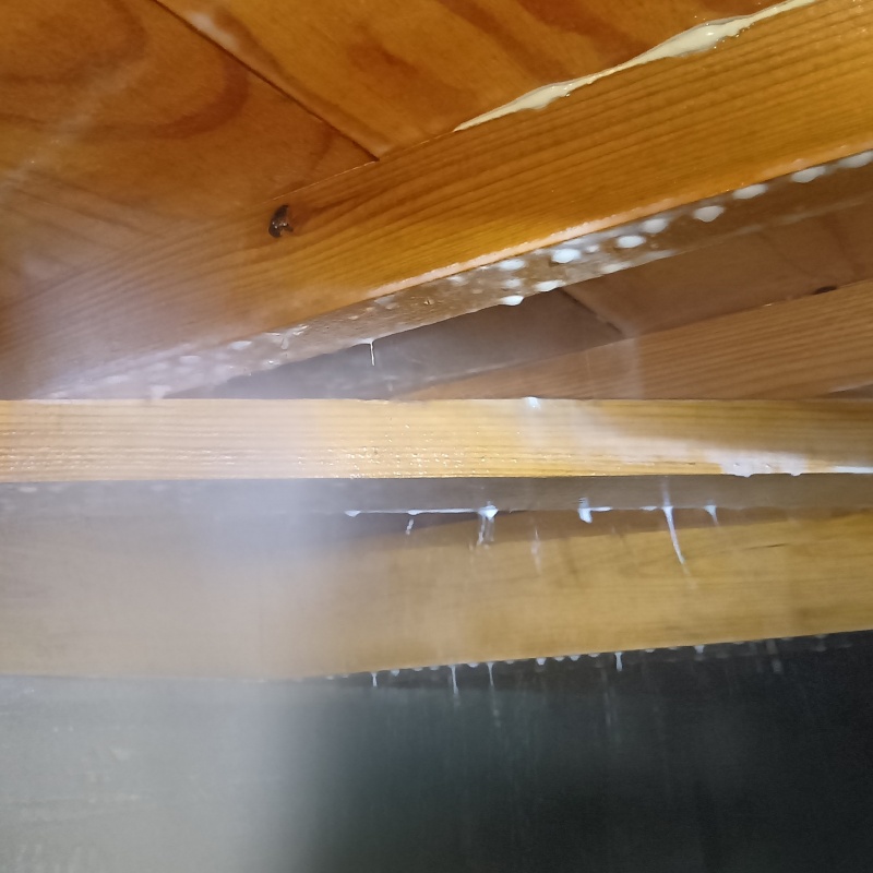 床下の木部にシロアリ駆除剤を散布