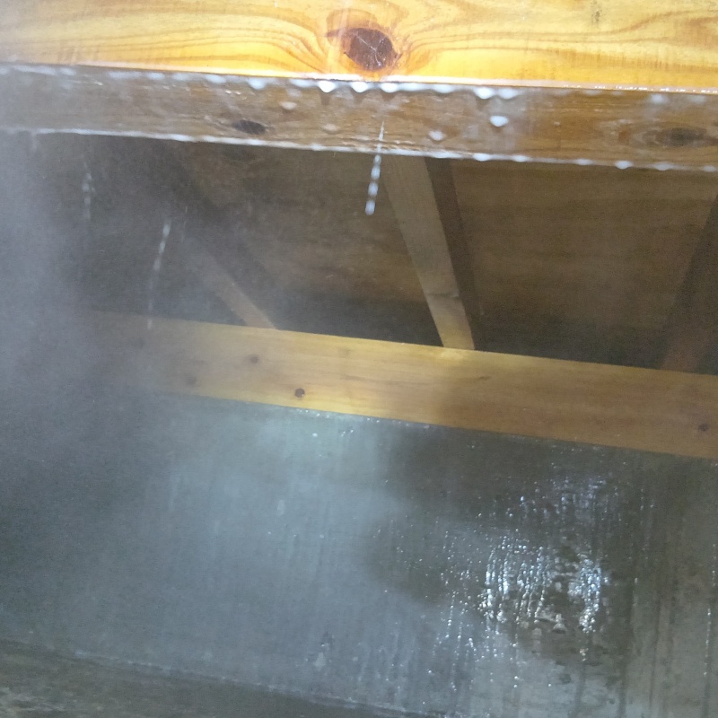 床下の基礎にシロアリ駆除剤を散布