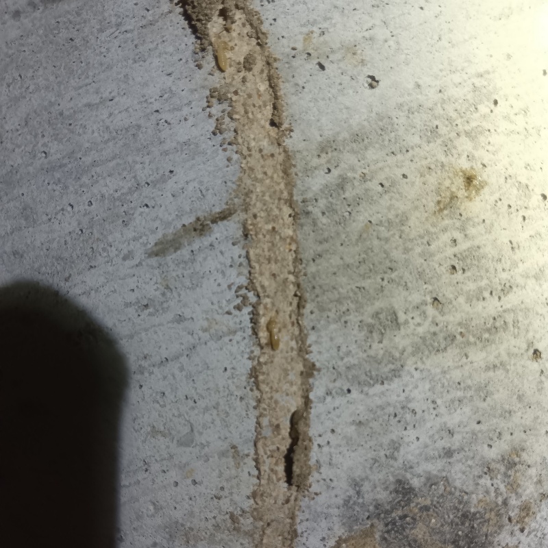 築年数35年のシロアリ駆除の施工事例（長野県長野市篠ノ井塩崎）