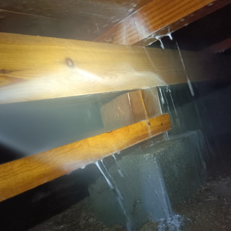 床下の木部にシロアリ駆除剤を散布