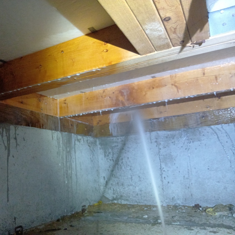 床下の木部に防蟻剤を散布