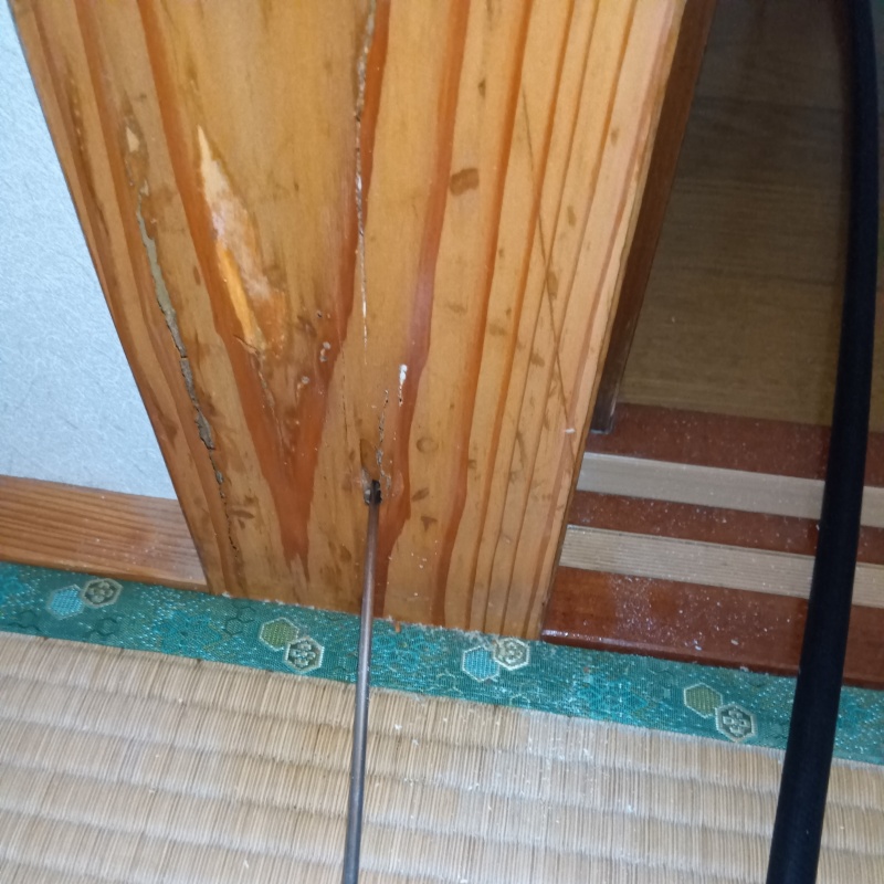 和室の柱にシロアリ駆除剤を注入