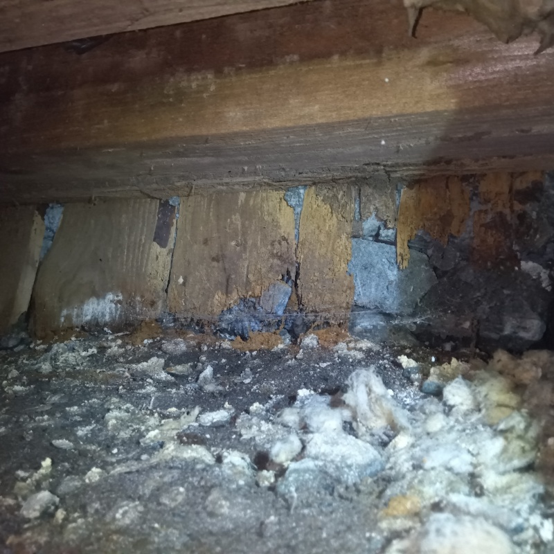 シロアリ駆除の施工事例（東京都葛飾区お花茶屋）