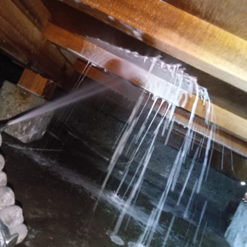 床下の木部にシロアリ駆除剤を散布