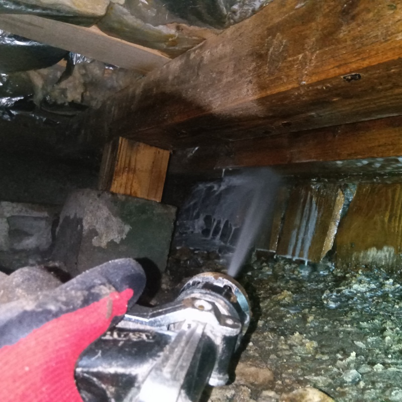 床下の基礎にシロアリ駆除剤を散布