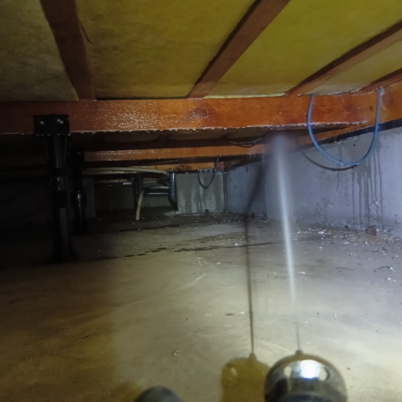 床下の木部にシロアリ駆除剤を散布