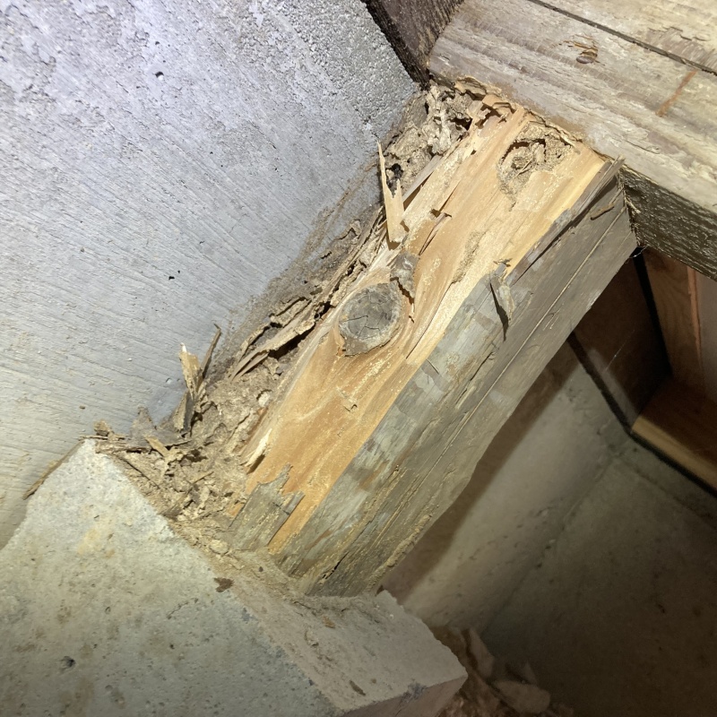 築年数78年のシロアリ駆除の施工事例（静岡県浜松市浜名区三ヶ日町駒場）