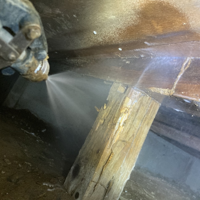 床下の木部にシロアリ駆除剤を散布