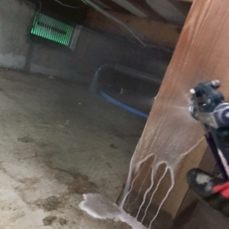 床下の木部にシロアリ駆除剤を散布