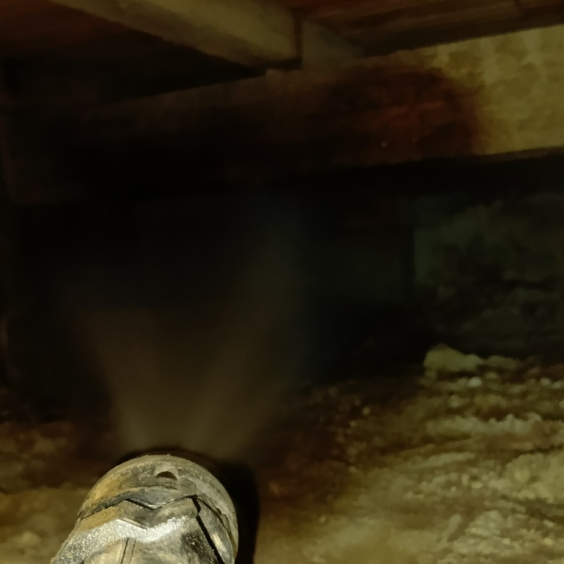 床下の木部にシロアリ駆除剤を散布