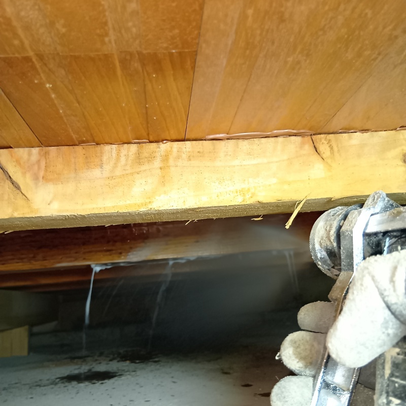 床下の木部にシロアリ駆除剤を散布