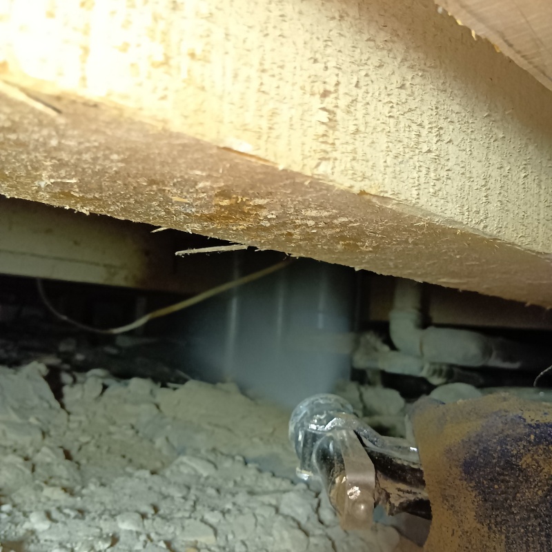 床下の基礎にシロアリ駆除剤を散布