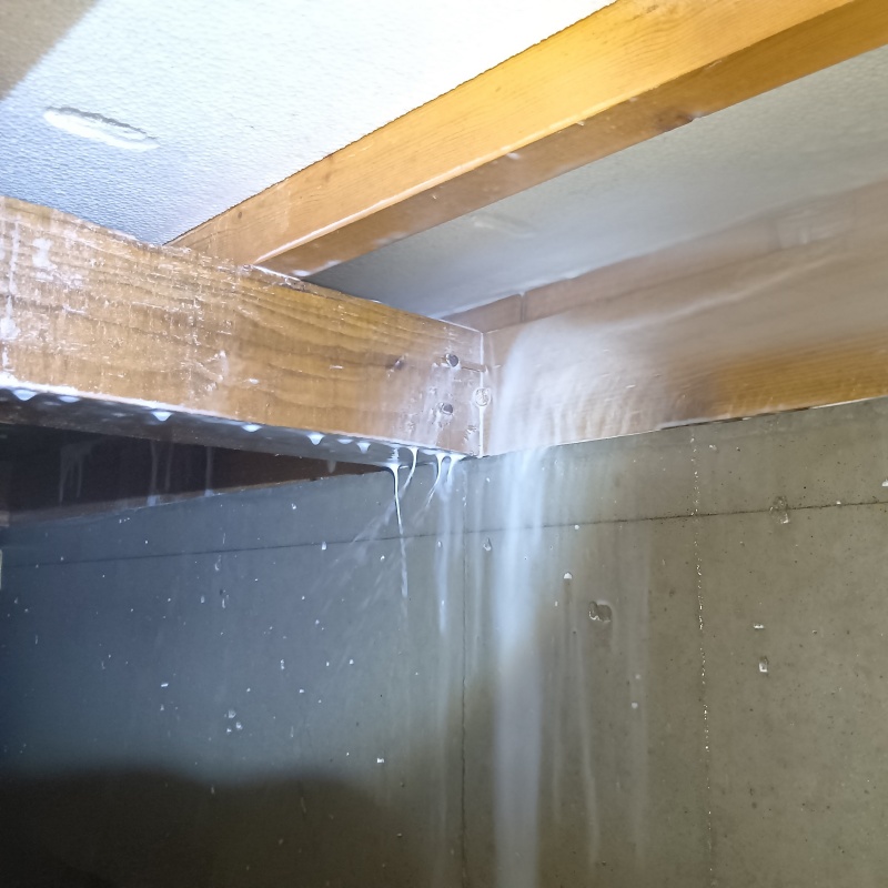 床下の木部に防蟻剤を散布