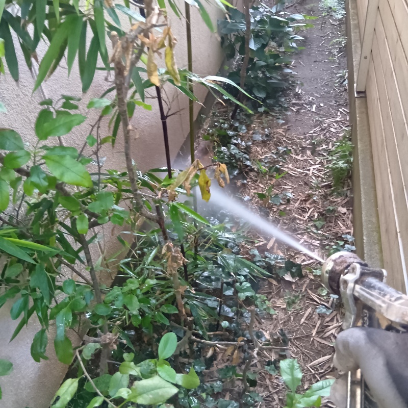 庭の土壌・草木にシロアリ駆除剤を散布
