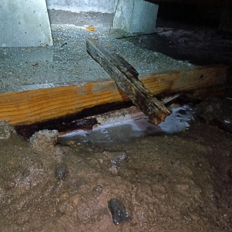 築年数35年のシロアリ駆除の施工事例（山形県鶴岡市）