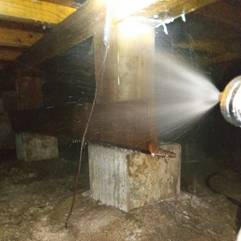 床下の木部にシロアリ駆除剤を散布