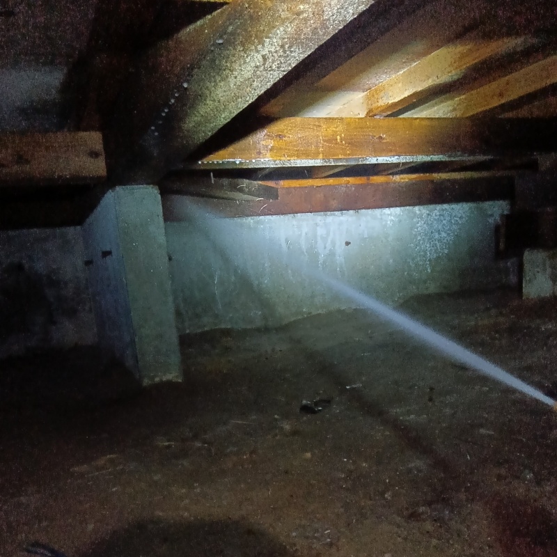 床下の木部にシロアリ駆除剤を散布