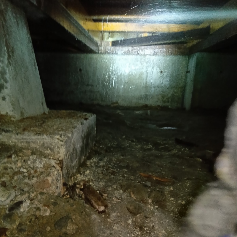 床下の基礎にシロアリ駆除剤を散布