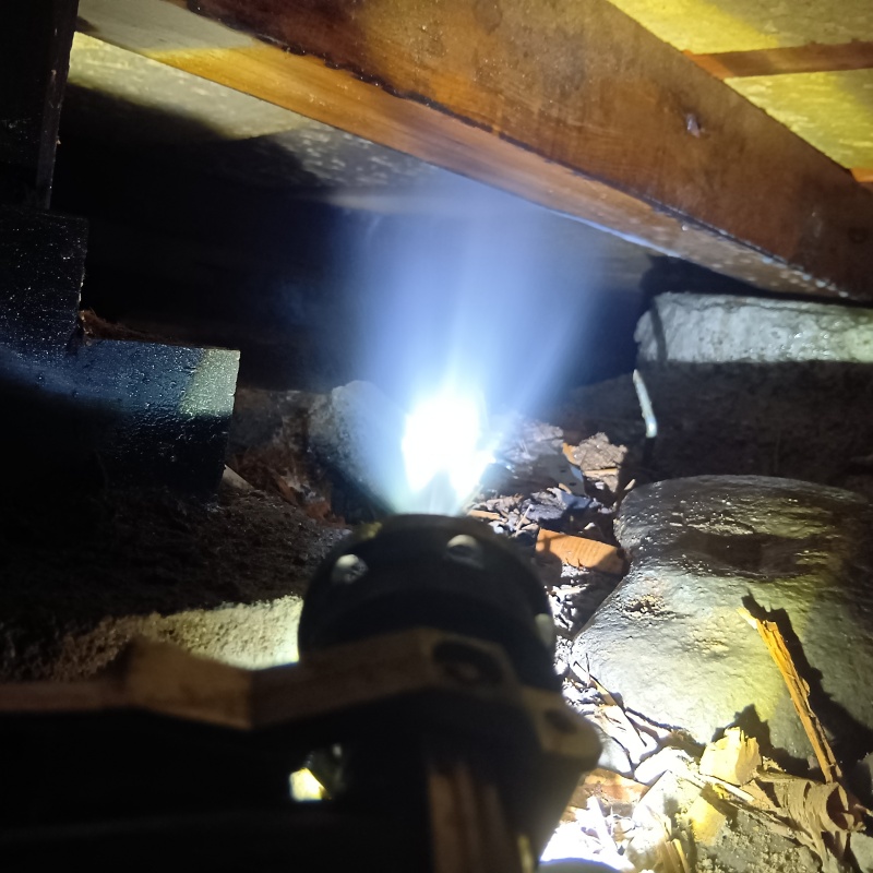 床下の木部にシロアリ駆除剤を散布