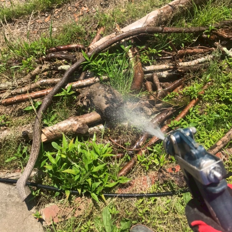 庭に置かれた草木にシロアリ駆除剤を散布