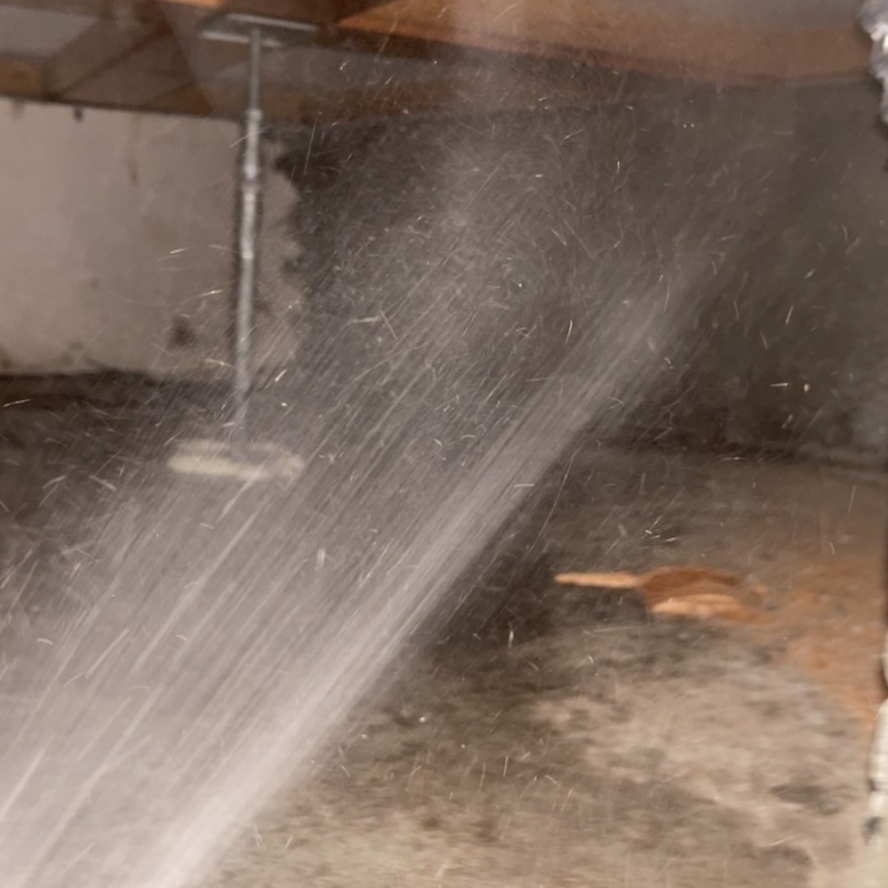 床下の木部にシロアリ駆除剤を散布