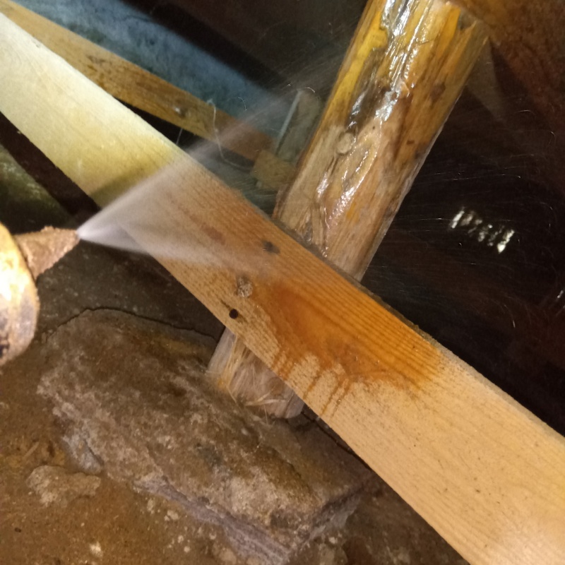 床下の木部にシロアリ駆除剤を散布