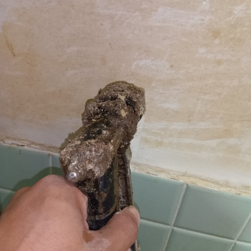 浴室の壁にシロアリ駆除剤を注入