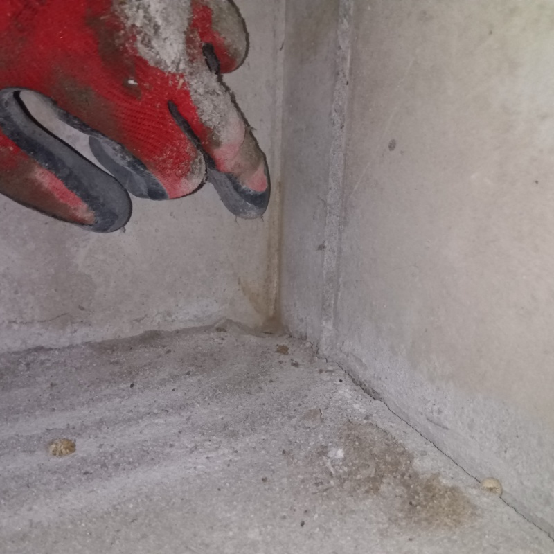 築年数30年のシロアリ駆除の施工事例（東京都杉並区浜田山）