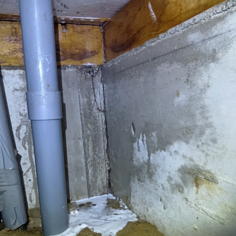 床下の基礎にシロアリ駆除剤を散布