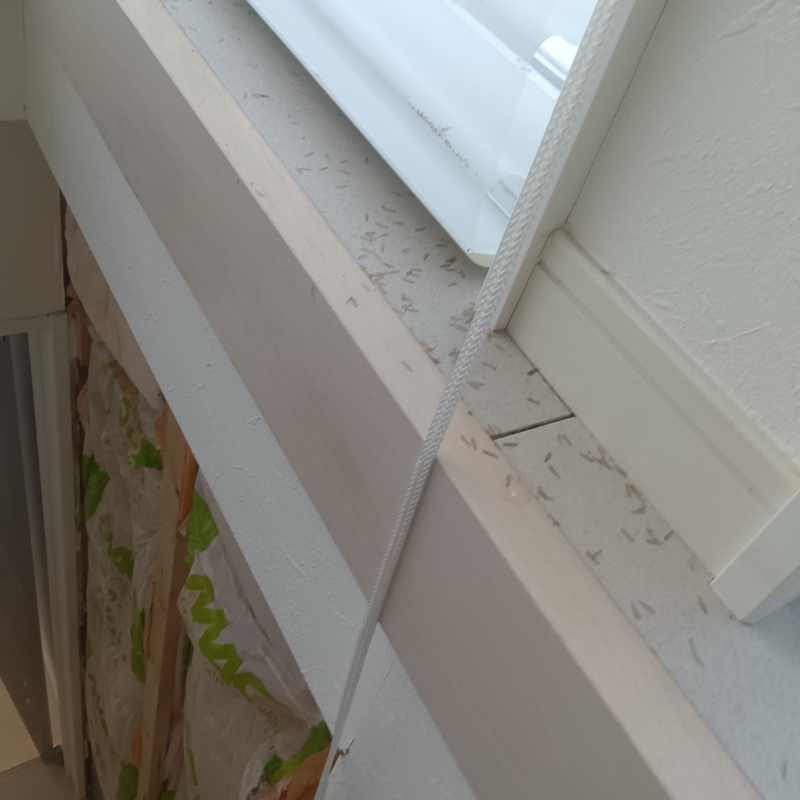 築年数5年のシロアリ駆除の施工事例（神奈川県三浦市三崎町諸磯）