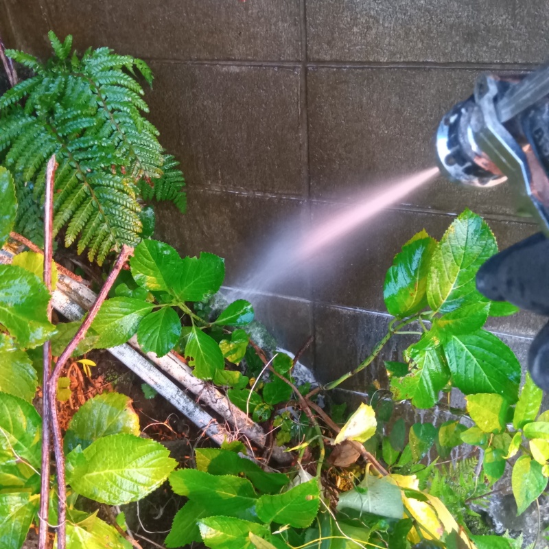 庭の土壌・塀・草木にシロアリ駆除剤を散布