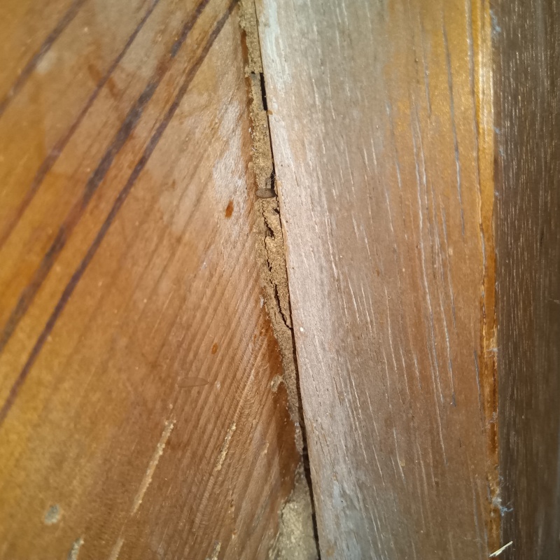 築年数55年のシロアリ駆除の施工事例（福岡県福岡市東区原田）