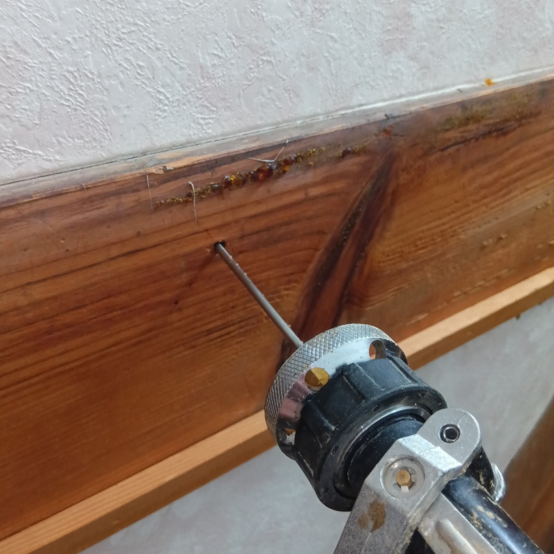 室内の壁（木材）にシロアリ駆除剤を注入