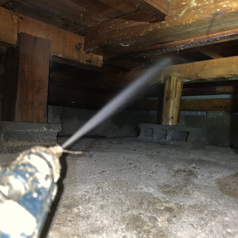 床下の木部にシロアリ駆除剤を散布