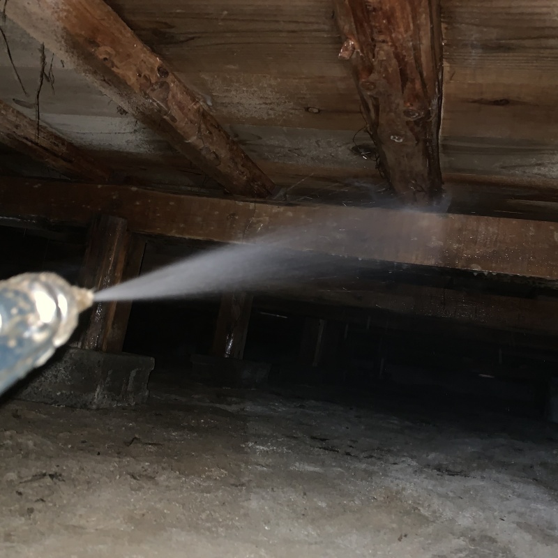 床下の木部にシロアリ駆除剤を散布