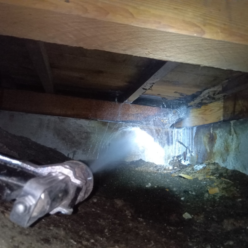 床下の基礎にシロアリ駆除剤を散布