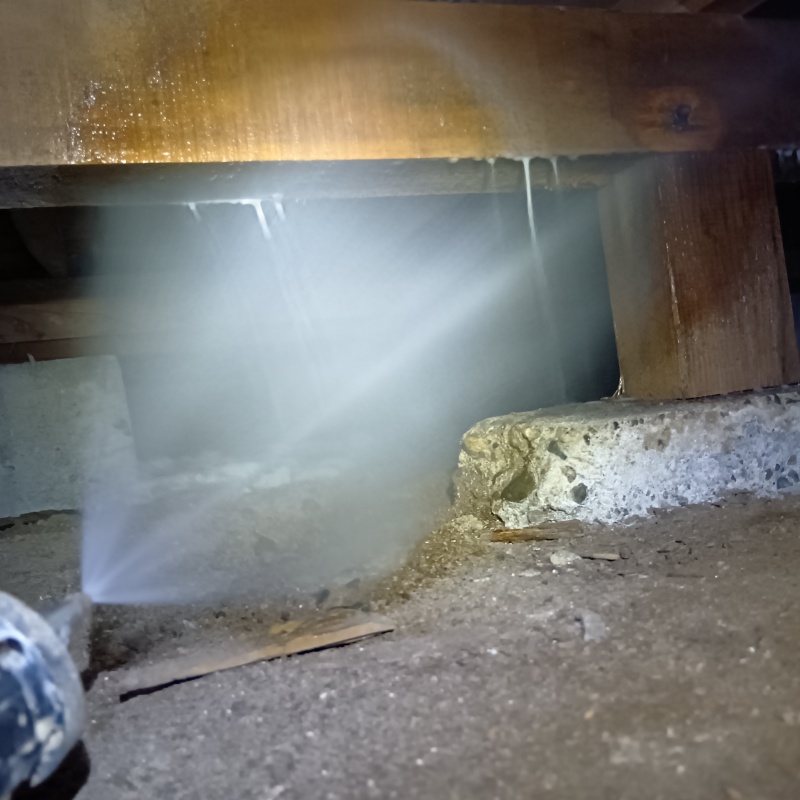 床下の木部に防蟻剤を散布