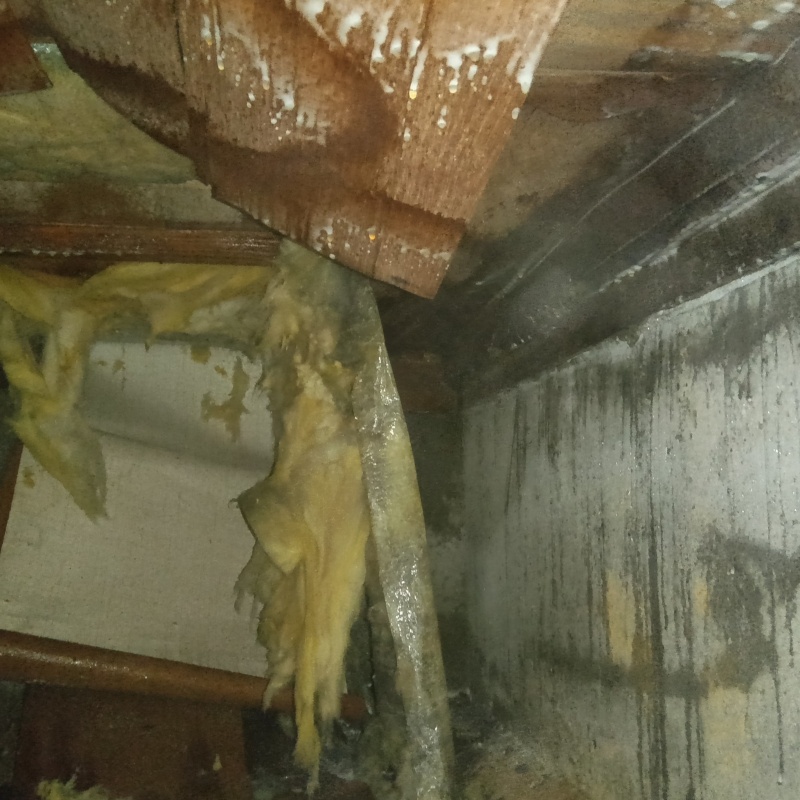築年数56年のシロアリ駆除の施工事例（兵庫県神戸市垂水区星陵台）