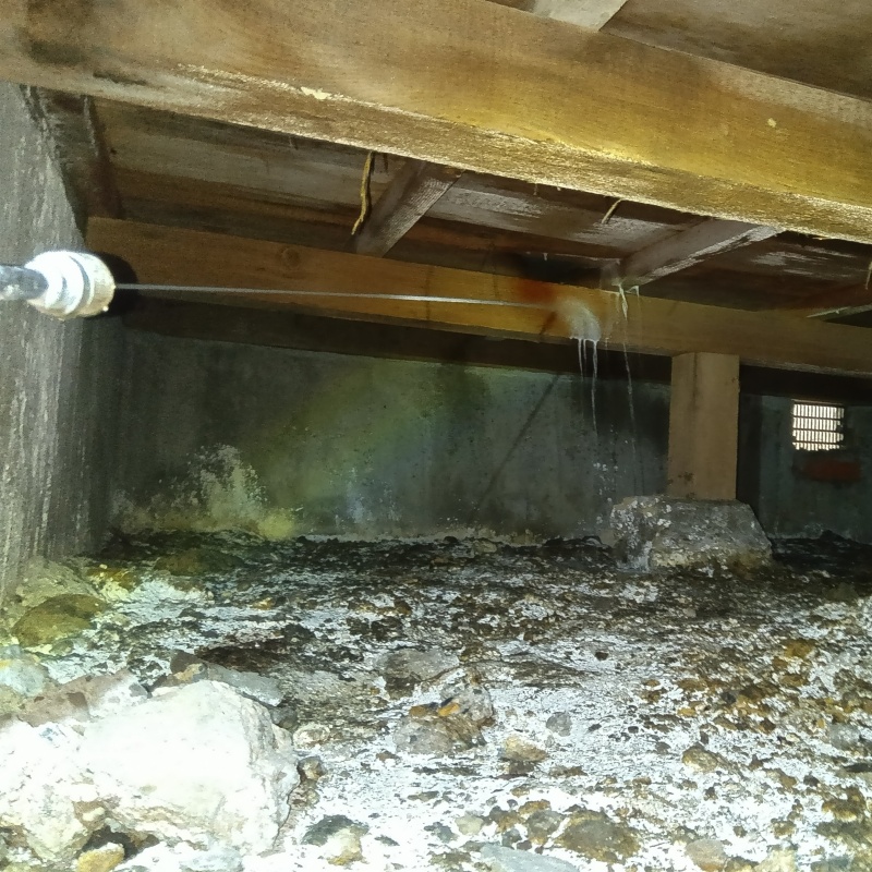 床下の木部にシロアリ駆除剤を散