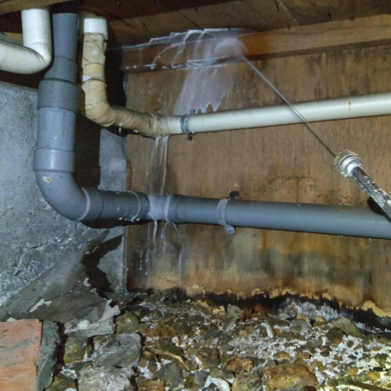 床下の木部にシロアリ駆除剤を散