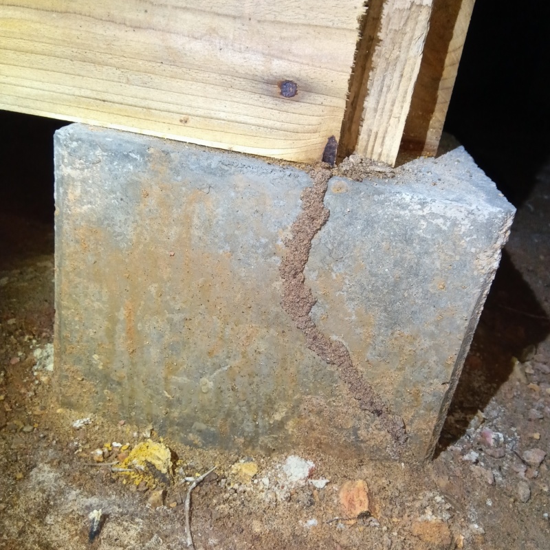 築年数23年のシロアリ駆除の施工事例（山形県鶴岡市青柳町）