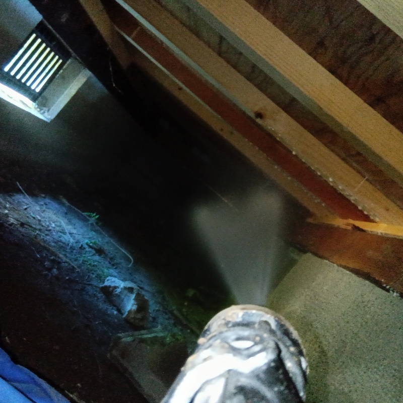 床下木材にシロアリ駆除剤を散布