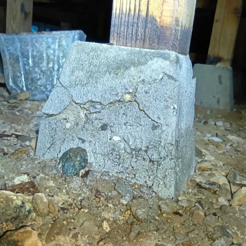 シロアリ駆除の施工事例（長崎県長崎市新牧野町）