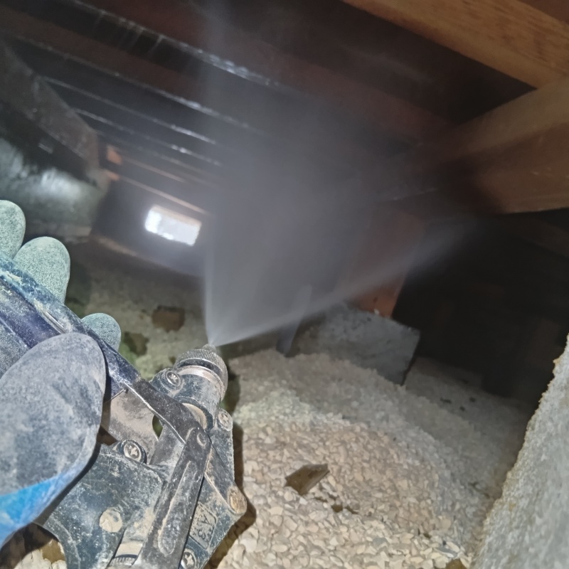 床下木材に防蟻剤を散布