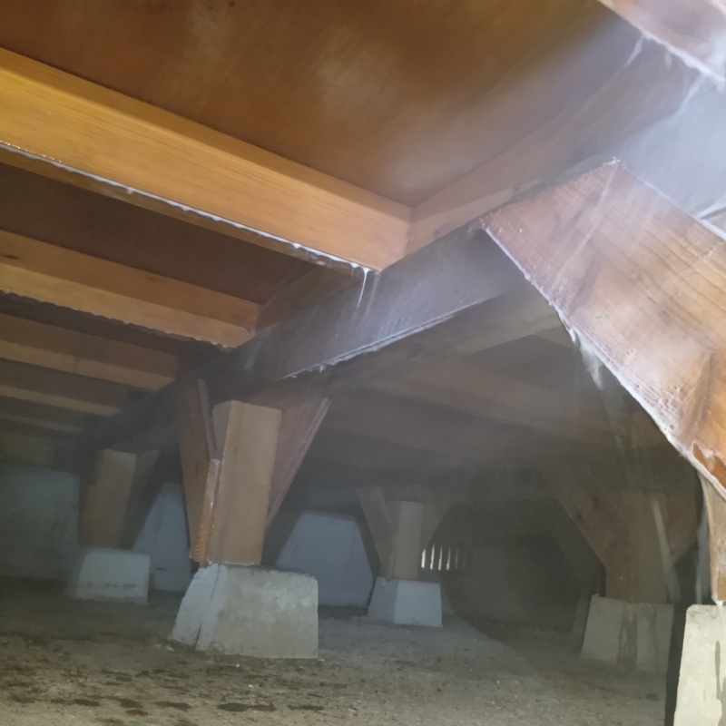 床下木材にシロアリ駆除剤を吹き付けている様子