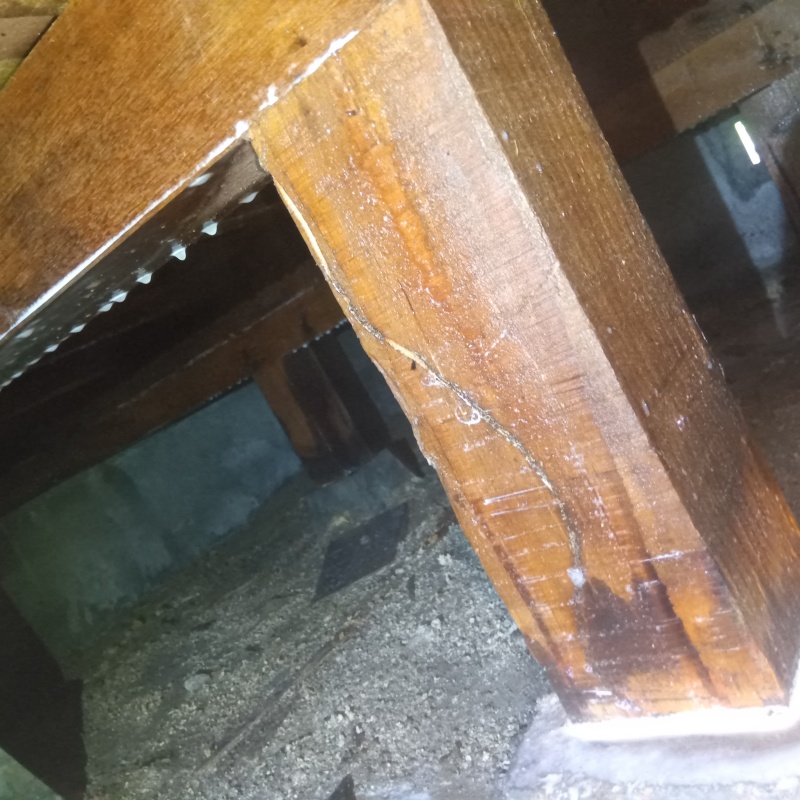 床下木材にシロアリ駆除剤を散布した様子